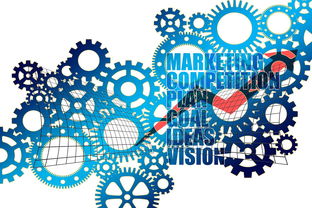 开云体育官方网站网址-中国篮球职业联赛市场营销策略分析，篮球的市场营销