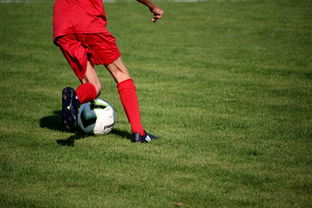 开云体育h5-中国篮球教练员战术创新培训体系，全国篮球教练员岗位培训